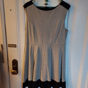 Black and White LOFT Dress